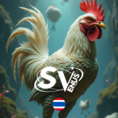 Cockfighting game thumbnail - sports category